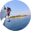 Franziska profile picture